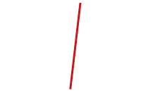 International Sales